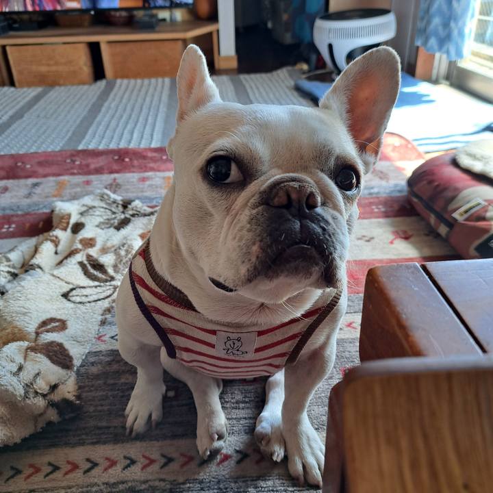 Aca8d374 515d 4883 b456 bf20f39bd606 1741645880720