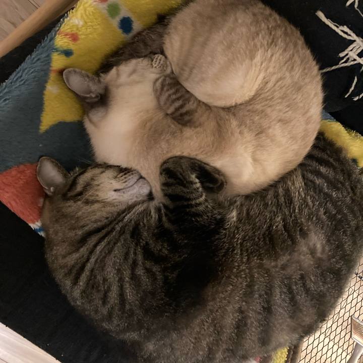 Aca8db88 6287 4c34 8a42 c37315e2215f 1732878431978