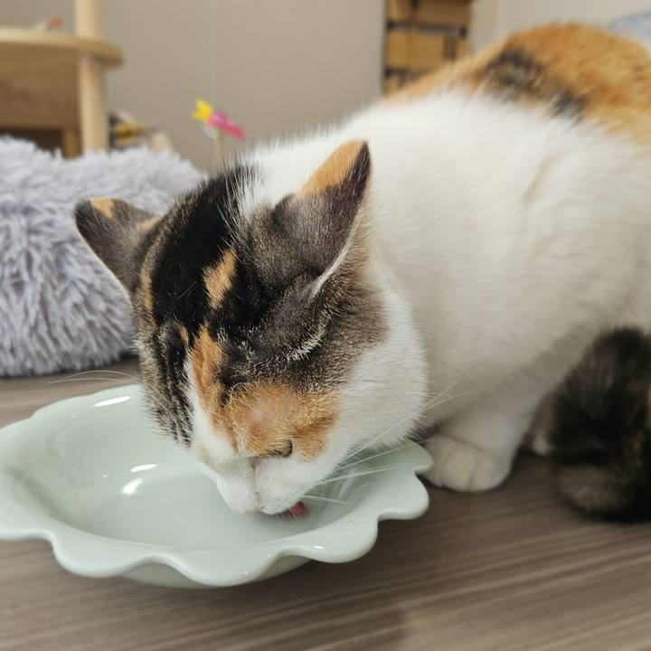 Aca92cc3 6dfd 47d6 81c5 85ae993fd0c5 1770511524764