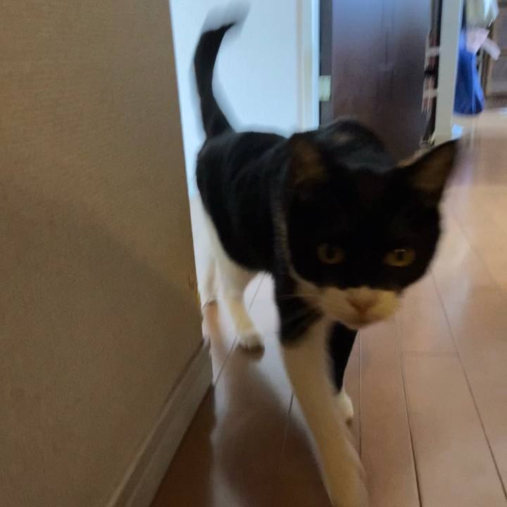 Aca944be 0692 40a2 866c 157eaf051137 1615345537433