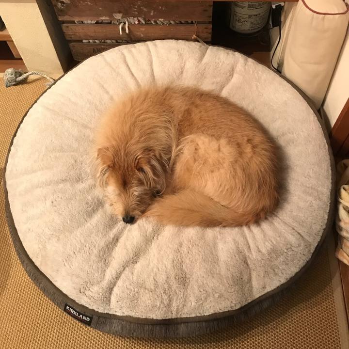 Aca945b5 e201 48b9 8534 e1cfb6fd7de0 1585574224689