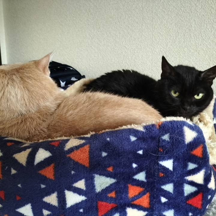 Aca95136 d01f 40b7 8aa5 70dfa262d44a 1648506776572