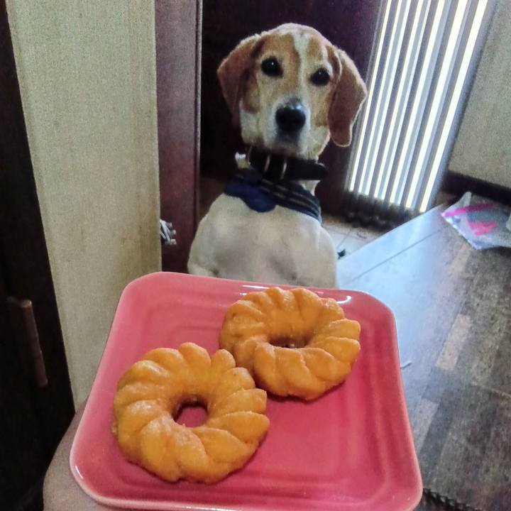 Aca95840 b890 4f98 9d1c 741c4a780646 1744894530960