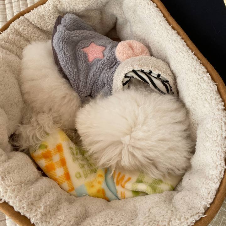 Aca95b0a 9a4f 427f b91d 79786f723b4e 1670197240739