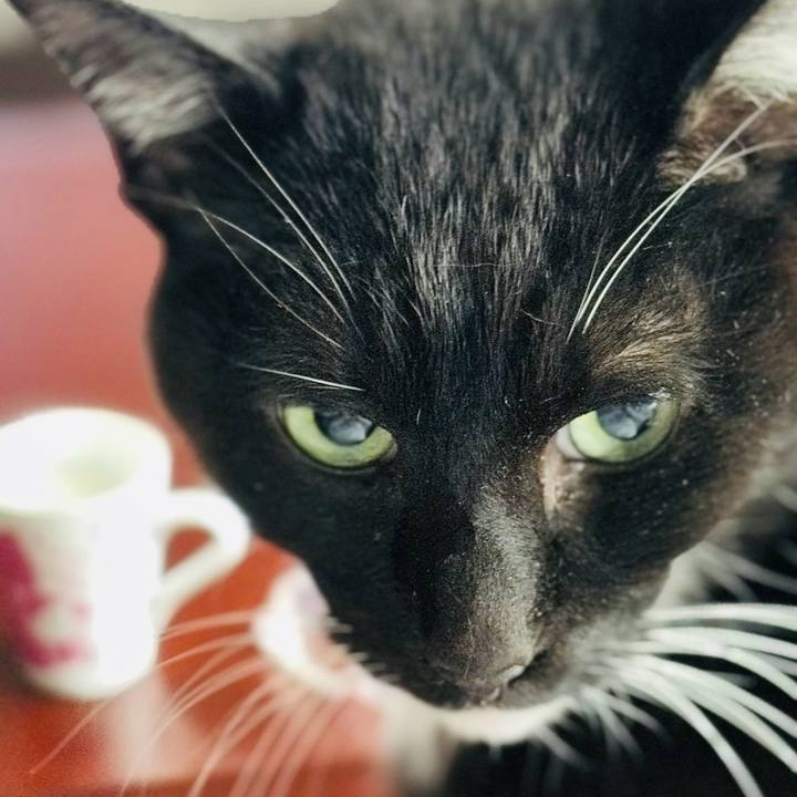 Acaa06ba 647b 4f72 9e47 49c5383ba97c 1774999624064