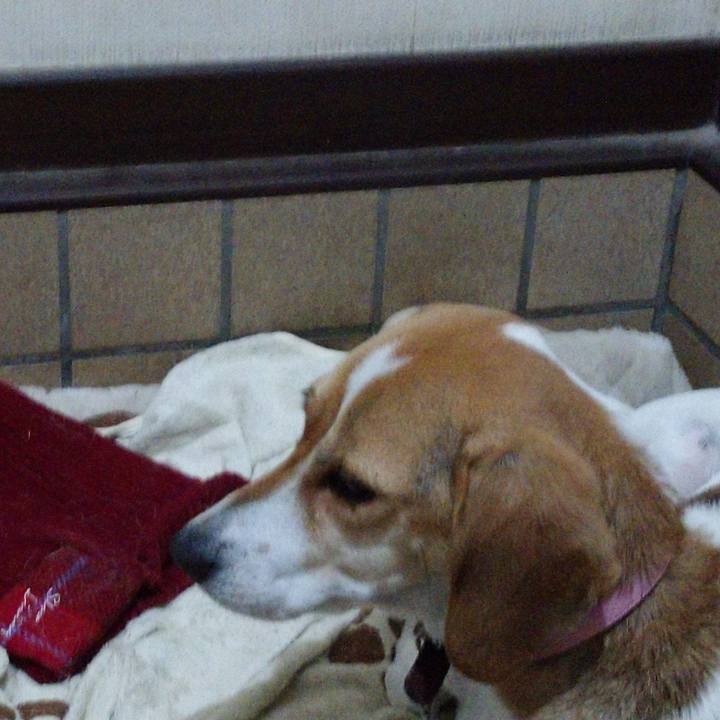 Acaa198a 69dd 4a46 a60a 522c4b1aeddc 1576584524343