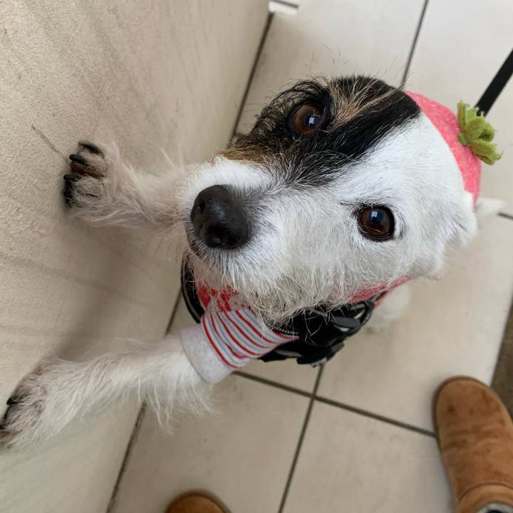 Acaa6c5d 1b2c 4267 8170 f33a760cbe8d 1675671282418