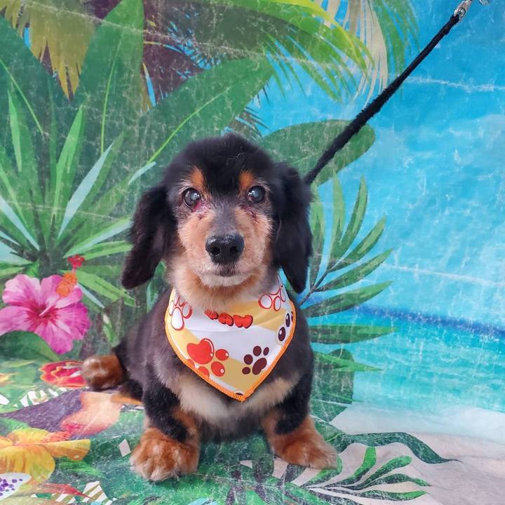 Acaa9fe1 a2de 42be 8ad8 86415f1f5f0e 1752151939806