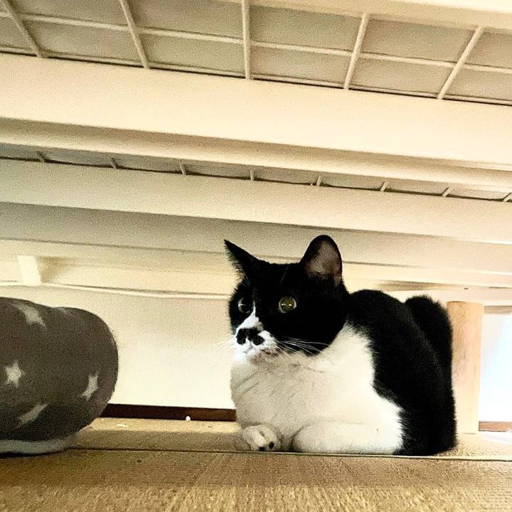 Acaaafe9 52ba 4c22 9cd8 fc896e9b2e9c 1661127105493