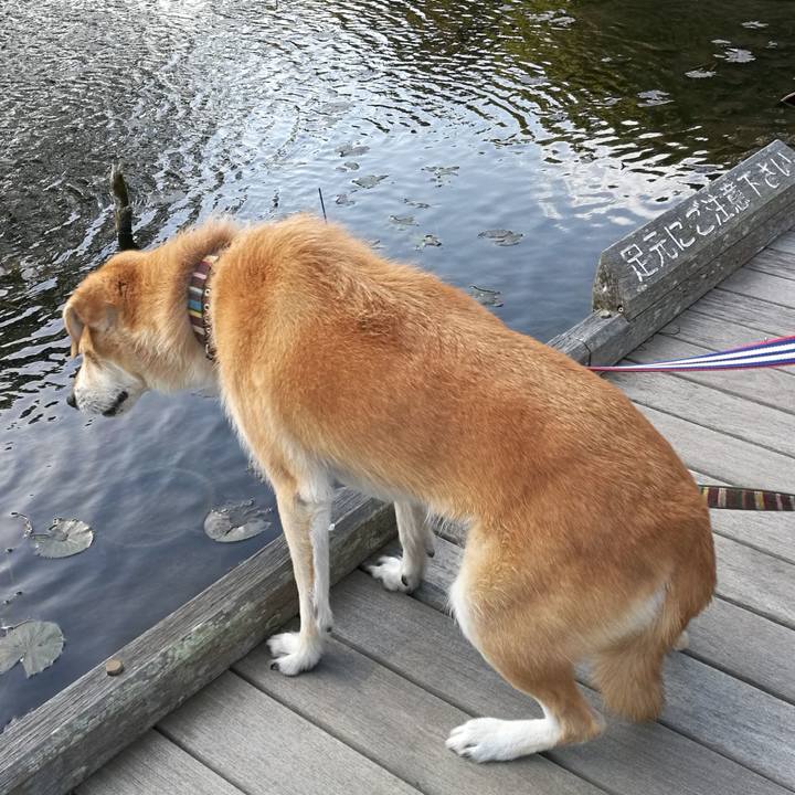 Acaabd90 8c2e 40f1 bf5c 75dae31f275e 1511677896003