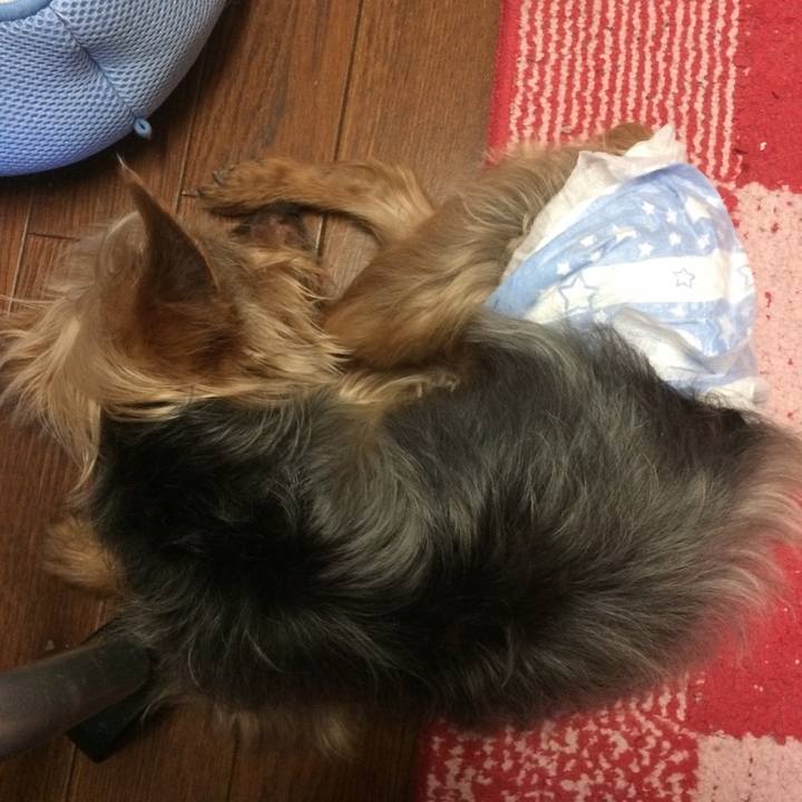 Acaad6c1 0fe8 4d93 91dd 172d0d373073 1570348673481