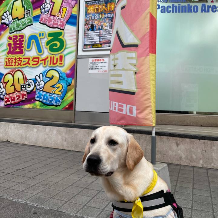 Acab8ad5 e963 46f1 9138 ea08a2c000e6 1625751556359