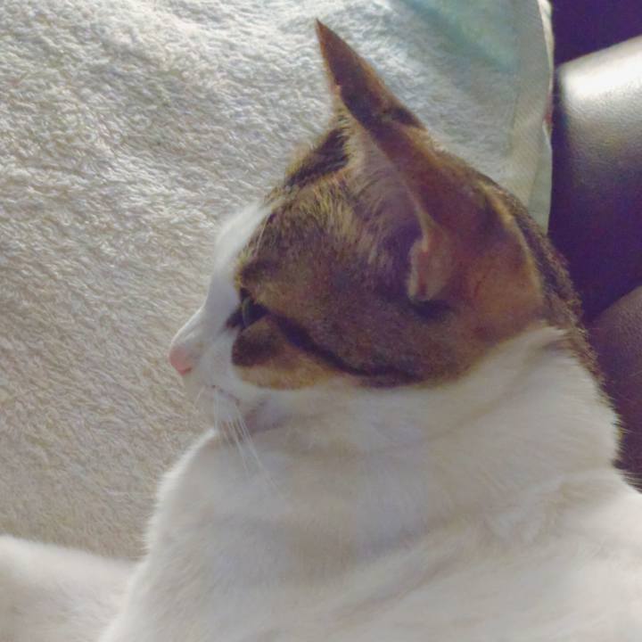 Acabce7d 10ec 49a9 a751 f99338f0c29e 1714481812238