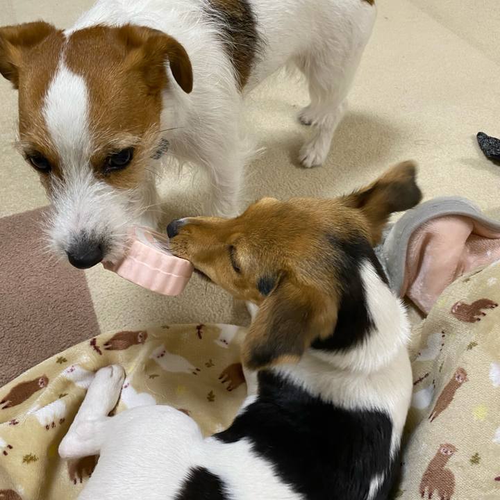 Acabe419 b891 4bf4 a22d aea027f6cf5e 1746621500728