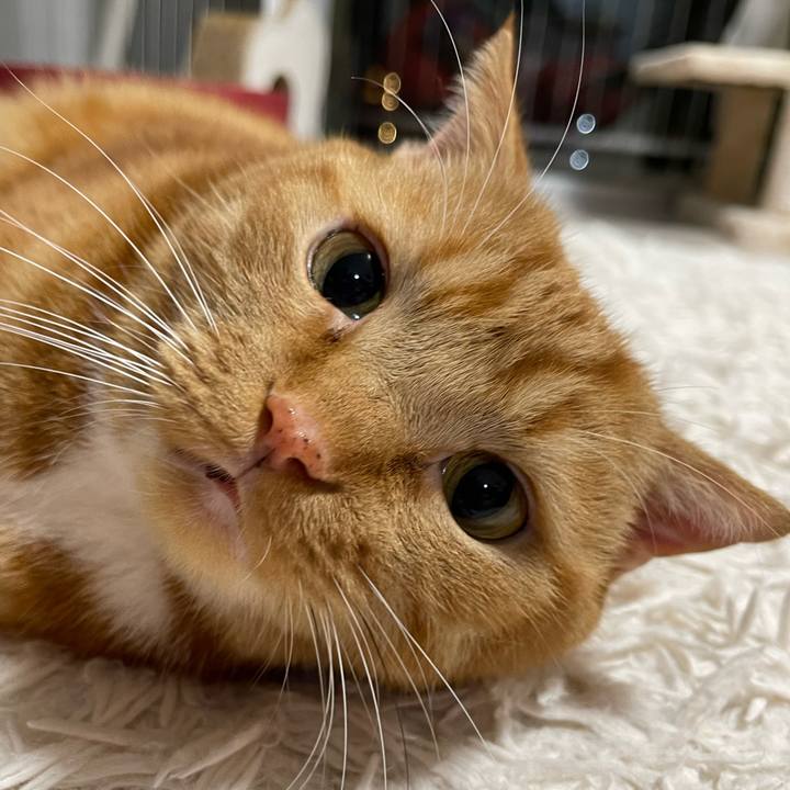 Acac4d70 a7d9 4d49 b146 5a4eaa19b534 1678453399804