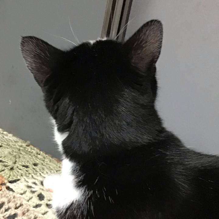 Acac63cb 0e93 439c 8cce 6ec814ff9c04 1754650450361