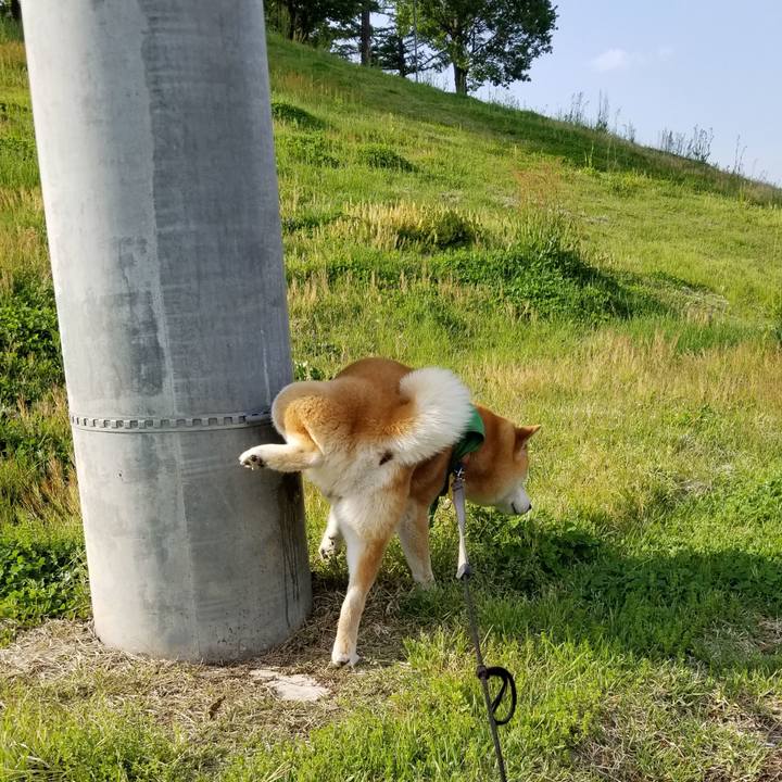 Acac6ec8 b187 4b71 ac93 e70a3c22d5b5 1557990547222