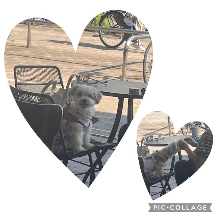 Acac7a0d 5f0c 478f b987 56019d222ddd 1756004617671