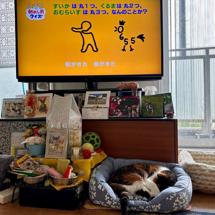 Acacdea0 37a7 4b5f 8e78 861f796d0ddd 1715723981037