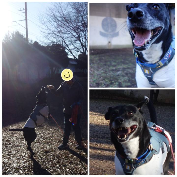 Acace539 77b9 4759 9bc3 58dc0e191e89 1706057649997