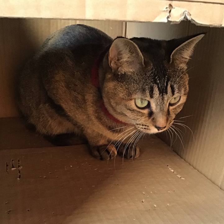 Acacfada 3c62 4320 800a a25149c18a10 1612330694373