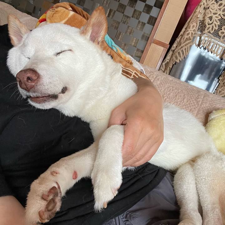 Acad1c88 2f40 487f 956a bd36d3581d9e 1652246090705