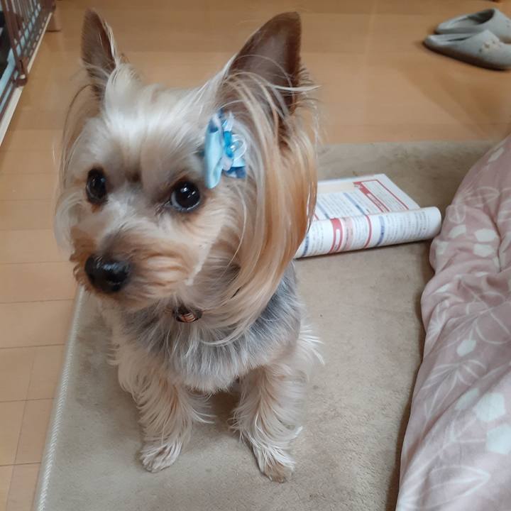 Acad2373 cc8f 4d21 99c5 606885eeddcb 1586930777819