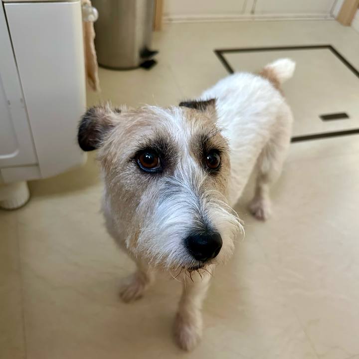 Acad3393 fef2 4370 a2f9 6fc4a3b05bb8 1754042589531