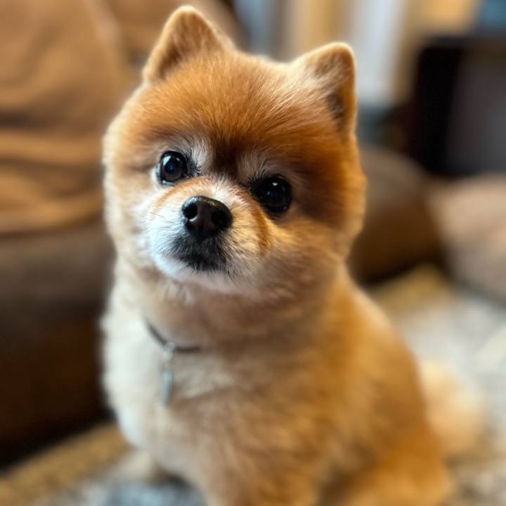 Acad6be6 2a27 4ce3 8f72 5db30ece33d1 1681911555419