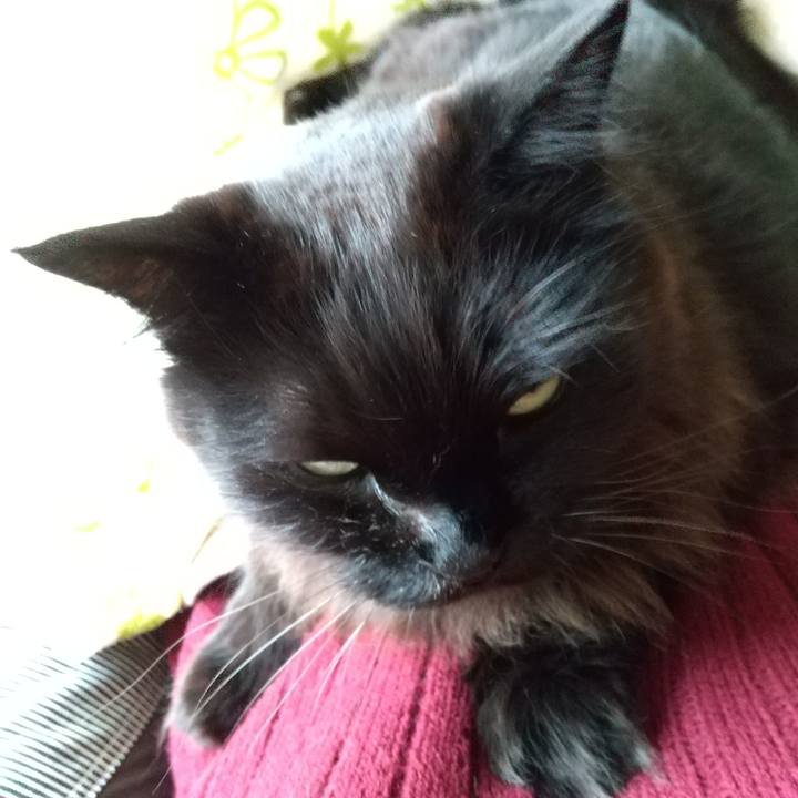 Acad9d73 06fc 41e0 acbd a58f9f310f6a 1582006455805