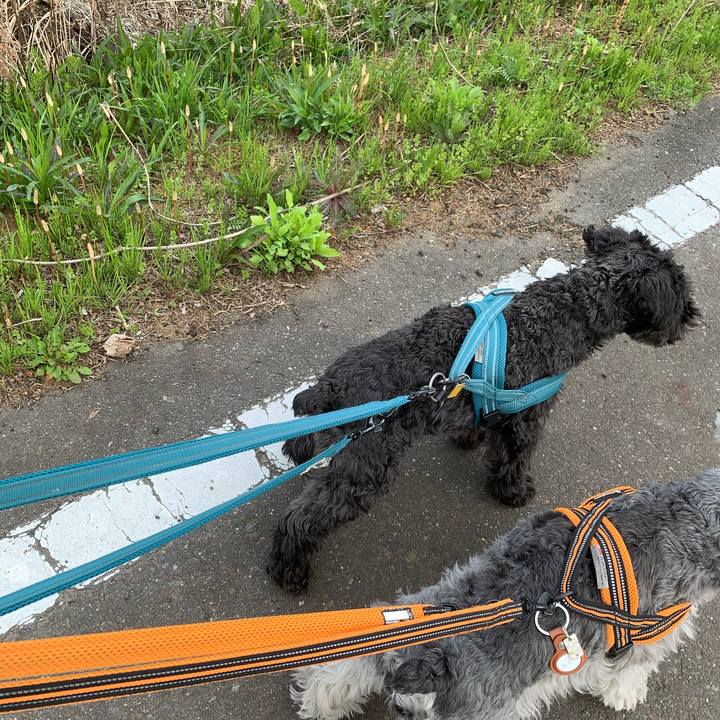 Acada495 99e5 45a6 9c7d 0eb643aae6a2 1680520524518