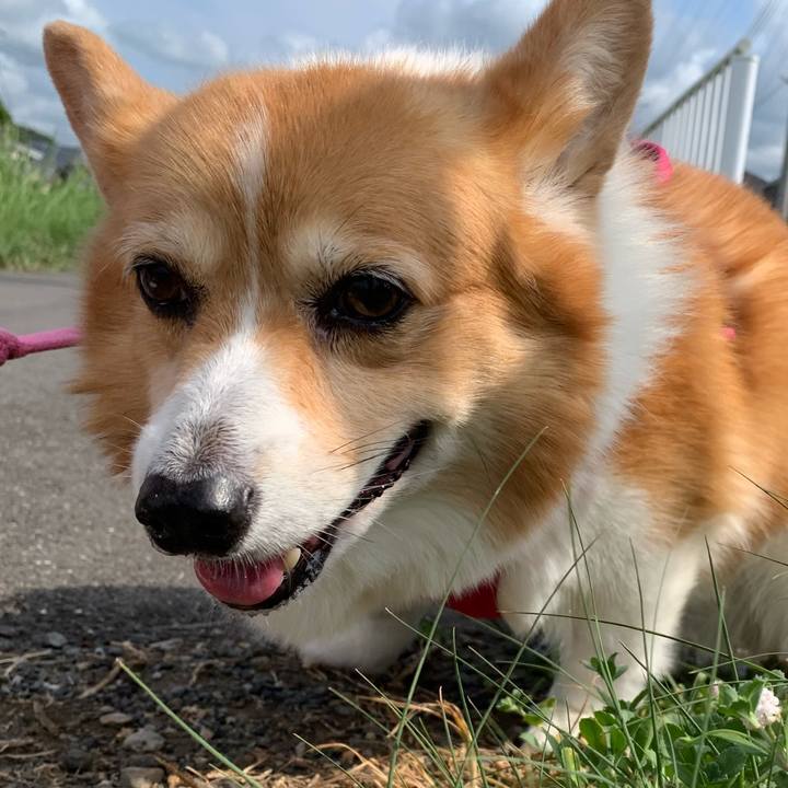 Acade386 64e0 477c 8a85 5e471a26be63 1722989928531