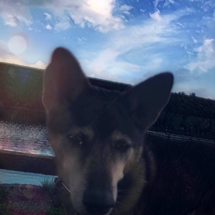 Acae1131 0200 4180 880d 4b4ab5b913a5 1537288033871