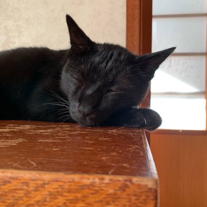 Acae2eb9 7a99 43bc b686 245ea463a183 1567730704172