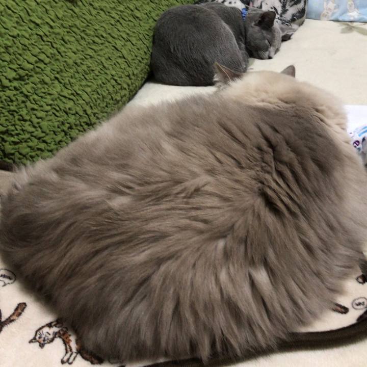 Acaeabb2 e476 4cb1 b2ae 84a34d9ab525 1509526159112