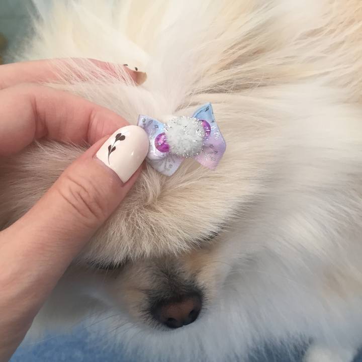 Acaec207 62f7 4042 a8a4 6bf8a6ddea3a 1580718857183