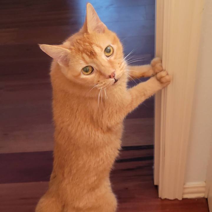 Acaed915 4d05 44e1 ad09 c65c220ae947 1743909977614