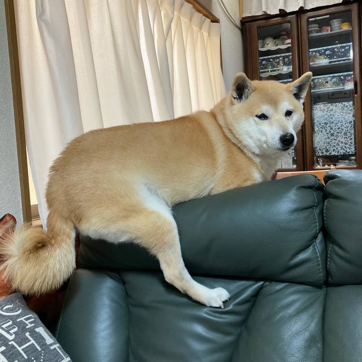 Acaf0deb e200 4891 8ad3 19a90dc46860 1613626812358