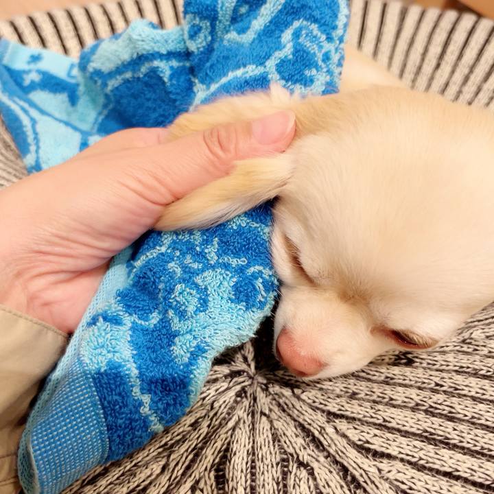 Acaf34b6 e80f 4a8d 96c3 3b1e320420cb 1685099958085