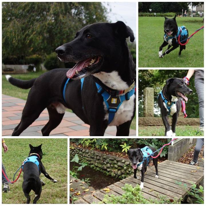 Acaf36a6 a5da 4762 99c4 64488dba1223 1632613759605