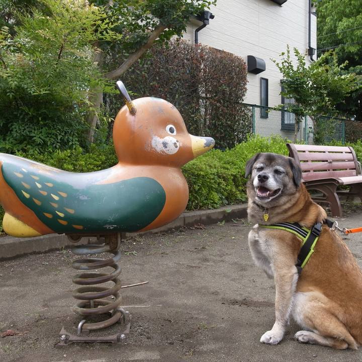 Acaf8836 daf9 4bf6 ad9c 393162f4f774 1587087938926