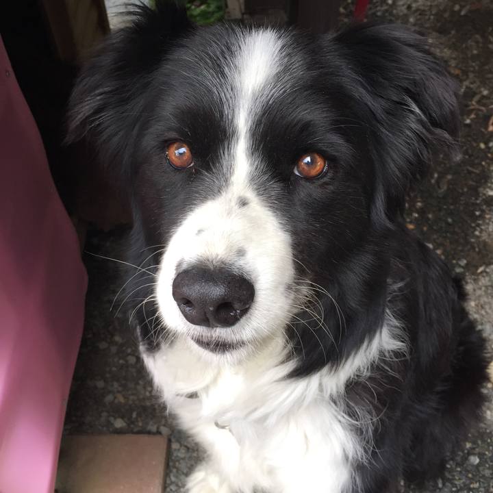 Acaf9d16 f1ea 4954 b64b fc914829ae58 1558917060176