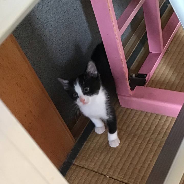 Acafbf56 7129 45cb 8392 534f9f362f3d 1623978944118