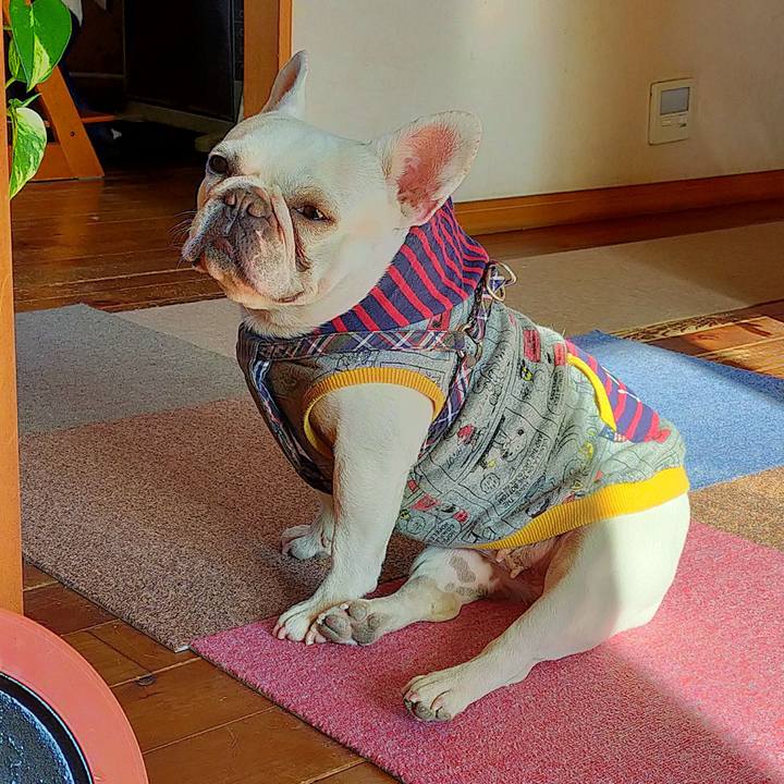 Acafd838 3922 4f1a baa1 c118ecca644f 1643670153648