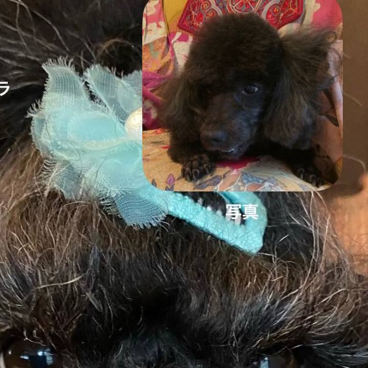 Acafe4e6 7f3a 4aaa bbfe 7e2f12aa145e 1692575989951