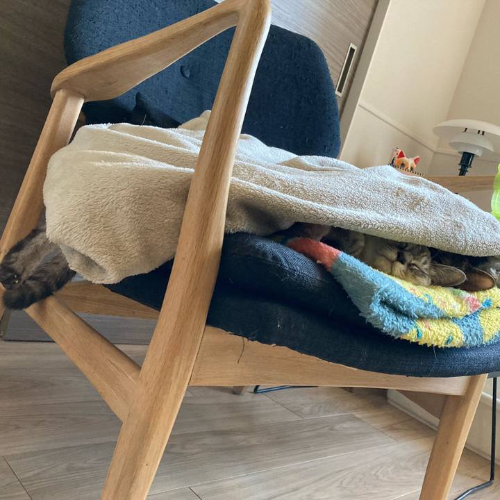 Acafefa3 ac86 4045 82fb fa86fae5aa53 1701493691845