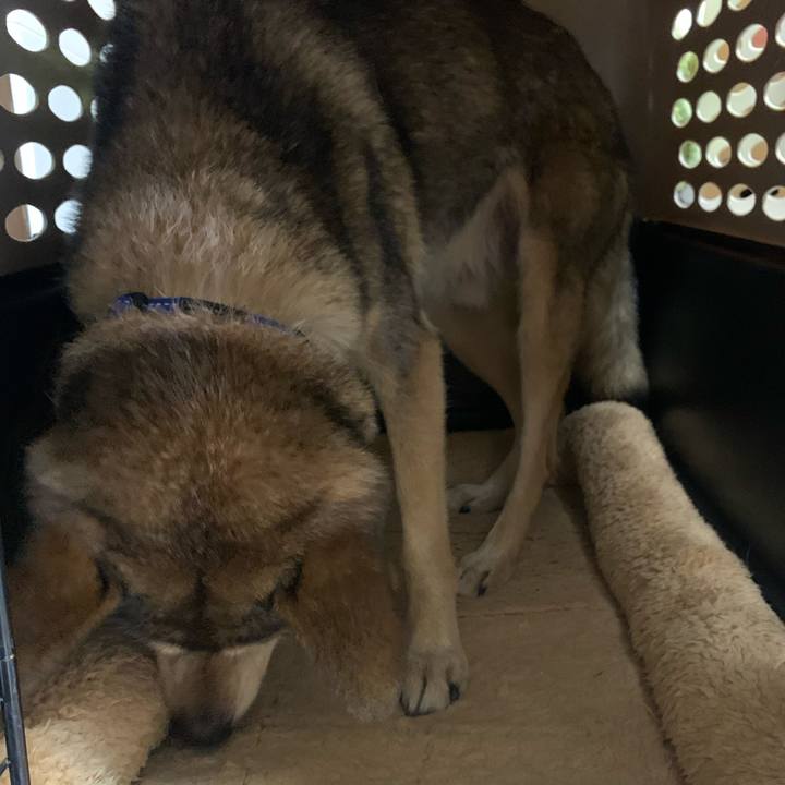 Acb06966 ae92 45ab 823d 2de684ba028b 1578668650591