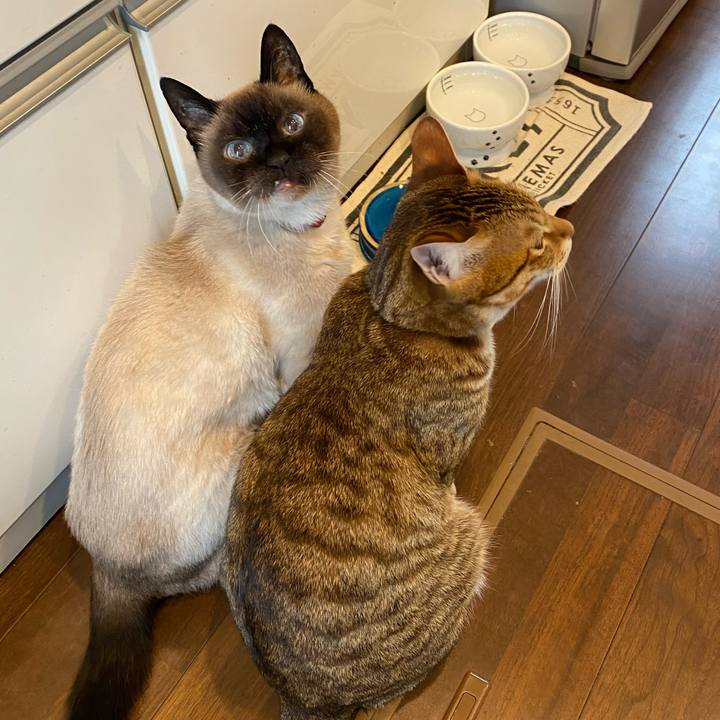 Acb091d9 bb2f 4c05 ab77 fe5160ee4721 1590480113263