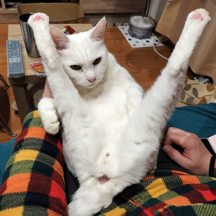 Acb0999a 713b 4af2 96e6 4c6249beff15 1773892154136