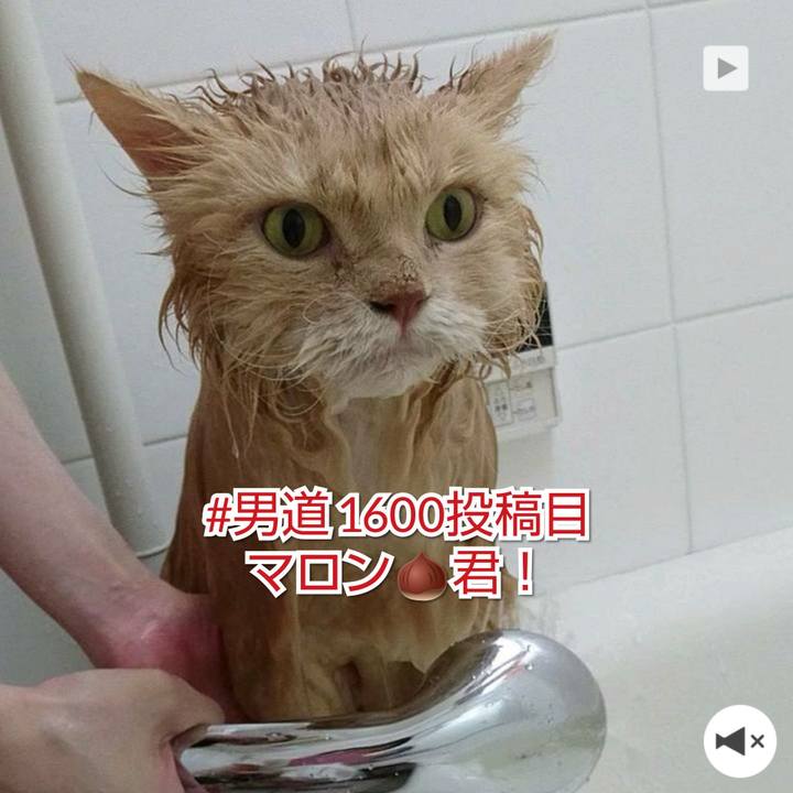 Acb0ba66 9980 467e a54f c2bcd9122da1 1563228135120